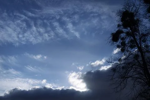 Tree silhouette against dramatic cloud Stock Photos