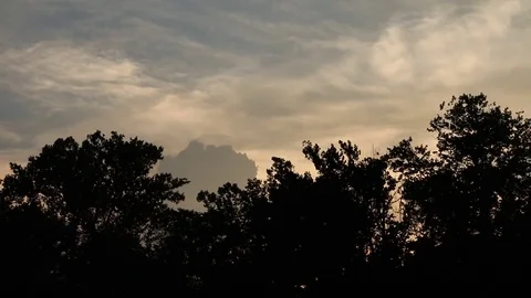 Tree Silhouette against Sunset Sky with Clouds - Evening Concept Stock Footage 81590997