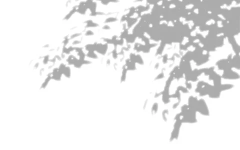 Tree Silhouette and Dappled Sunlight Shadow Background Stockillustratie