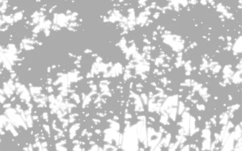 Tree Silhouette and Dappled Sunlight Shadow Background Illustration