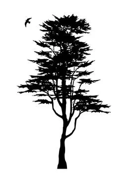 Tree silhouette and eagle vector isolated on white background Illustrazione stock