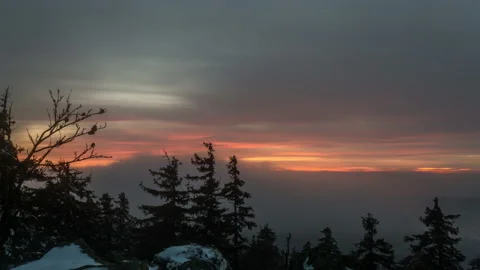 Tree silhouette in background rolling clouds 4K Stock Footage 221353170