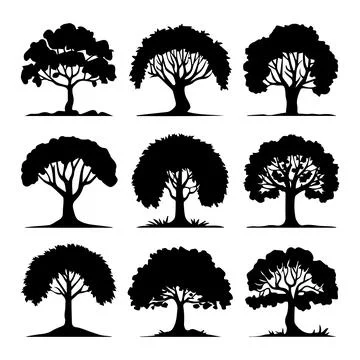 Tree silhouette big set Stock Illustration