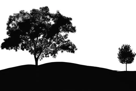 Tree silhouette. big tree silhouette. oak tree silhouette. black oak tree i.. Stock Illustration