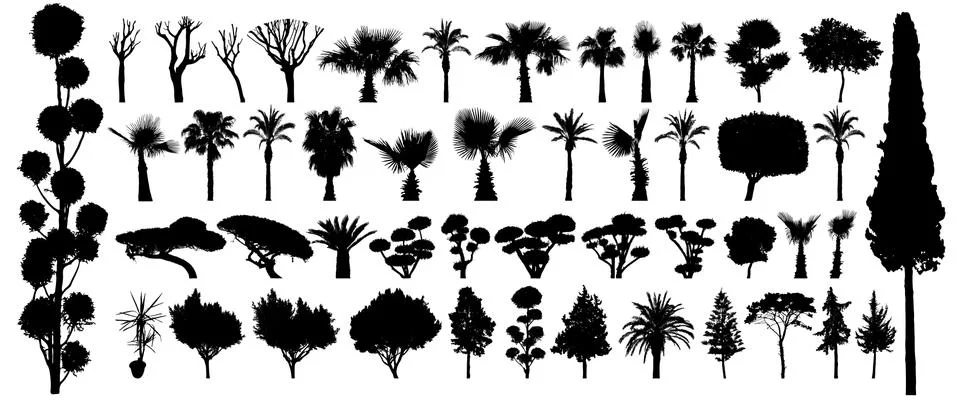 Tree silhouette black vector. Isolated set forest plants bushes on white back Stock Illustration