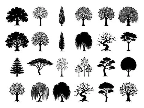 Tree Silhouette Collection Set with Oak Pine Willow Bonsai Stock Illustration
