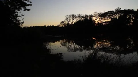 Tree silhouette by the dam Stock Footage 51754975