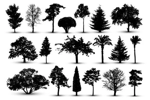 Tree silhouette, forest vector. Nature park. Isolated set, tree on white back Ilustración de archivo