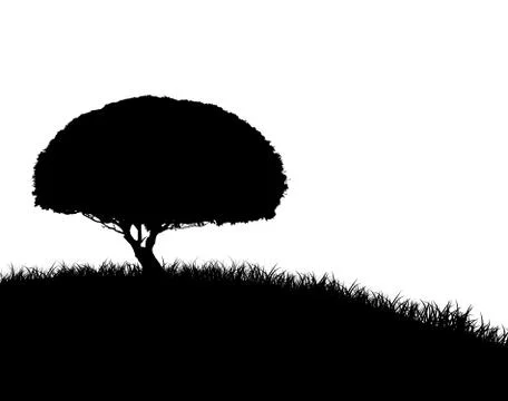 Tree silhouette on grassy hill Stock-Illustration