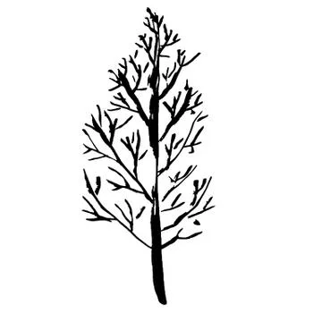 Tree silhouette. Hand drawn vector illustration. Illustrazione stock