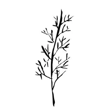 Tree silhouette. Hand drawn vector illustration. Stock Illustration