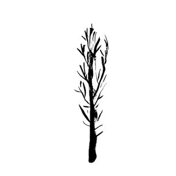 Tree silhouette. Hand drawn vector illustration. Stock Illustration