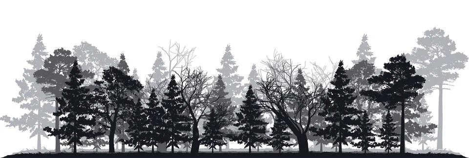 Tree silhouette in highland rainforest vector illustration Illustrazione stock