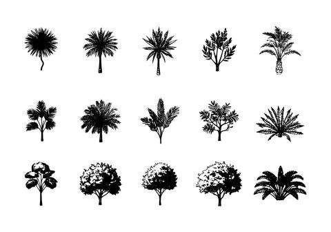 Tree Silhouette Icon Set with Abstract Organic Shapes, Minimal Nature Vector イラスト素材