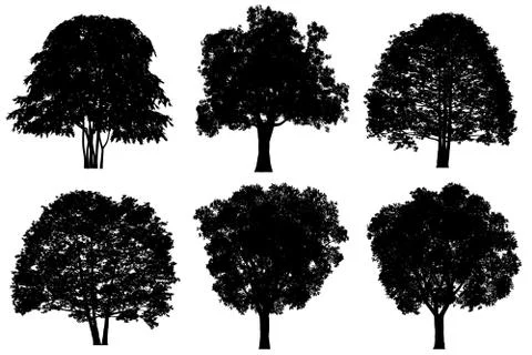 Tree silhouette. Illustrazione stock