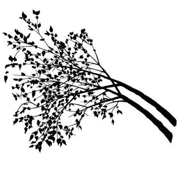 Tree Silhouette Stock Illustration