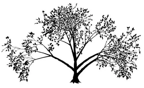 Tree Silhouette Stock Illustration