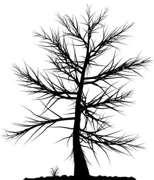 Tree silhouette. Stock Illustration
