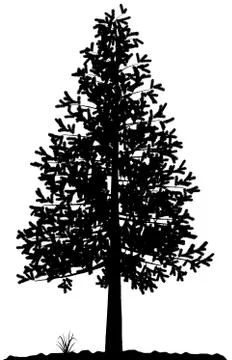 Tree silhouette. Stock Illustration