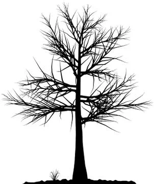 Tree silhouette. Stock Illustration