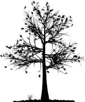 Tree silhouette. Stock Illustration