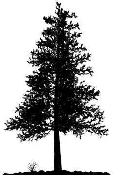 Tree silhouette. Stock Illustration