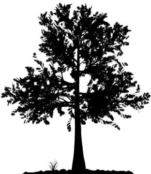 Tree silhouette. Stock Illustration