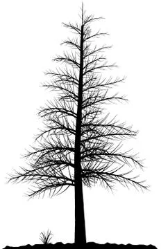 Tree silhouette. Illustrazione stock