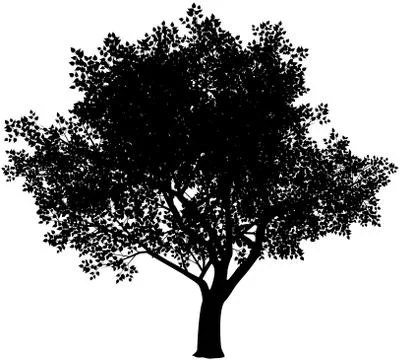 Tree silhouette Stock-Illustration