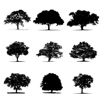 Tree Silhouette Stock Illustration
