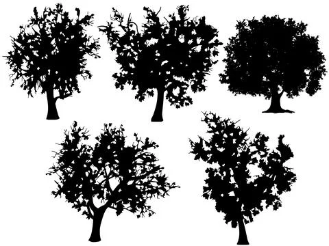 Tree silhouette Stock Illustration