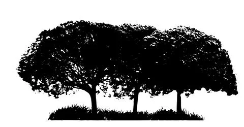 Tree Silhouette Isolated on White Backgorund.  Stock Illustration