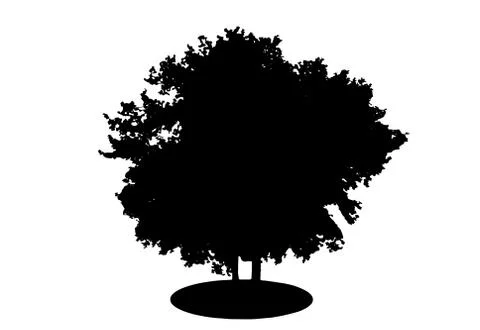 Tree Silhouette Isolated on White Backgorund. Vecrtor Illustrati Stock Illustration
