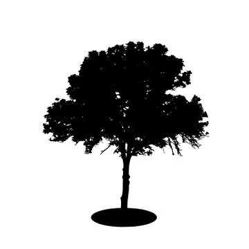Tree Silhouette Isolated on White Backgorund. Vector Illustration Stock Illustration