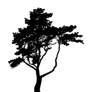 Tree Silhouette Isolated on White Backgorund. Vecrtor Ill Stock Illustration