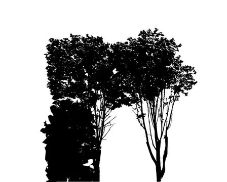 Tree Silhouette Isolated on White Backgorund. Vecrtor Illustration Stock-Illustration