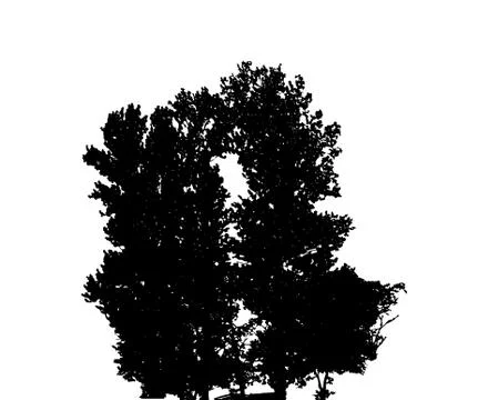 Tree Silhouette Isolated on White Backgorund. Vecrtor Illustration Stock Illustration