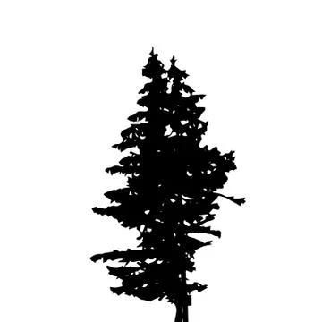 Tree Silhouette Isolated on White Backgorund. Vecrtor Illustration Stock Illustration