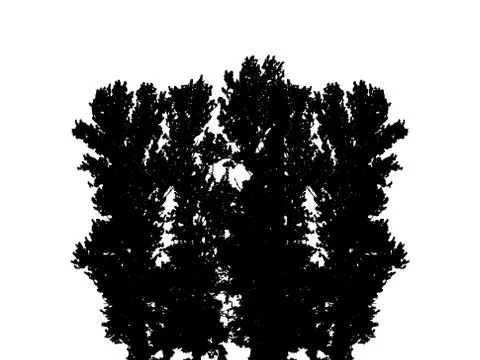 Tree Silhouette Isolated on White Backgorund. Vecrtor Illustration Stock Illustration