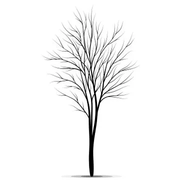 Tree silhouette isolated on white background Illustrazione stock