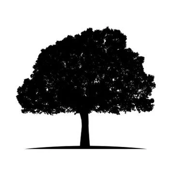 Tree silhouette isolated on white background vector Stock Illustration