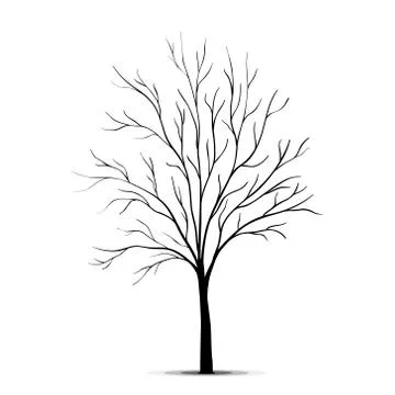 Tree silhouette isolated on white background Stock Illustration