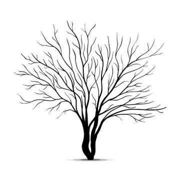 Tree silhouette isolated on white background Stock Illustration
