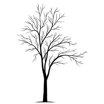 Tree silhouette isolated on white background vector Illustrazione stock
