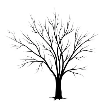 Tree silhouette isolated on white background Stock Illustration