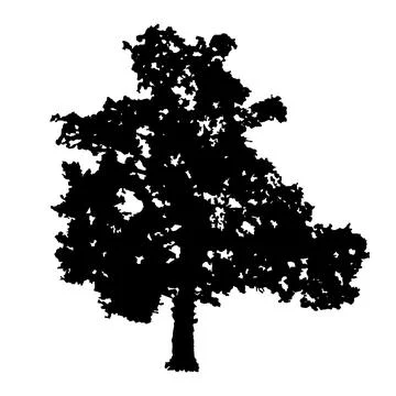 Tree silhouette isolated on white background. Oak tree icon. Stock Illustration