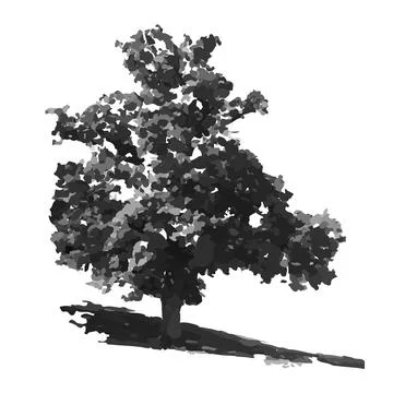 Tree silhouette isolated on white background. Oak tree icon. Stock Illustration