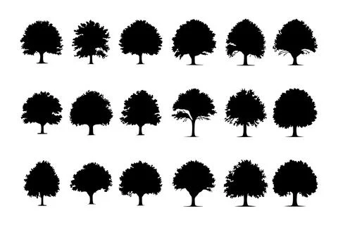 Tree silhouette isolated on white background, different tree vector collection Stock Illustration