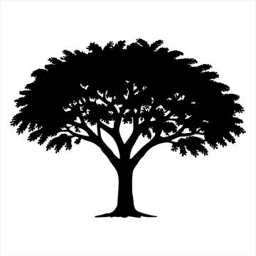 Tree Silhouette Isolated on White Background Stock Illustration
