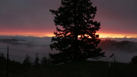A TREE in Silhouette on a MOUNTAINSIDE During SUNSET, (HD 24p) Stock Footage 272172859